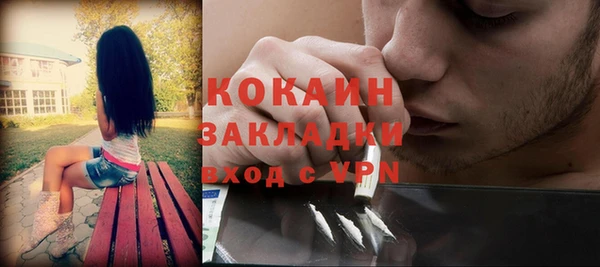 молекула духа Арсеньев