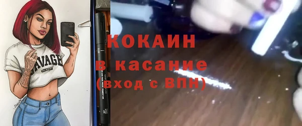 молекула духа Арсеньев