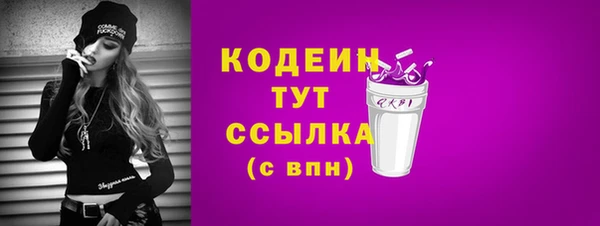 молекула духа Арсеньев