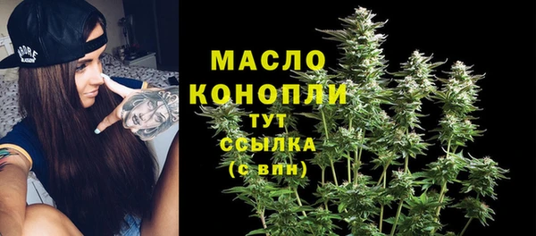 молекула духа Арсеньев