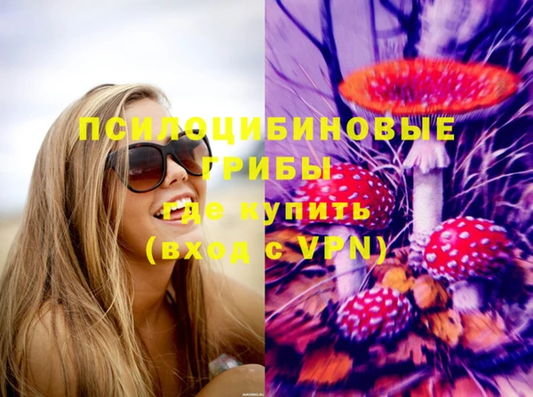 сатива Инта