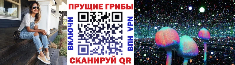 Псилоцибиновые грибы Psilocybe  Барабинск 